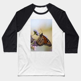 Migration Series VII Baseball T-Shirt